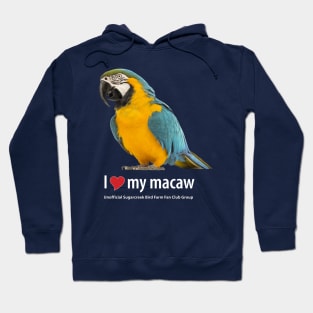 macaw (2) Hoodie